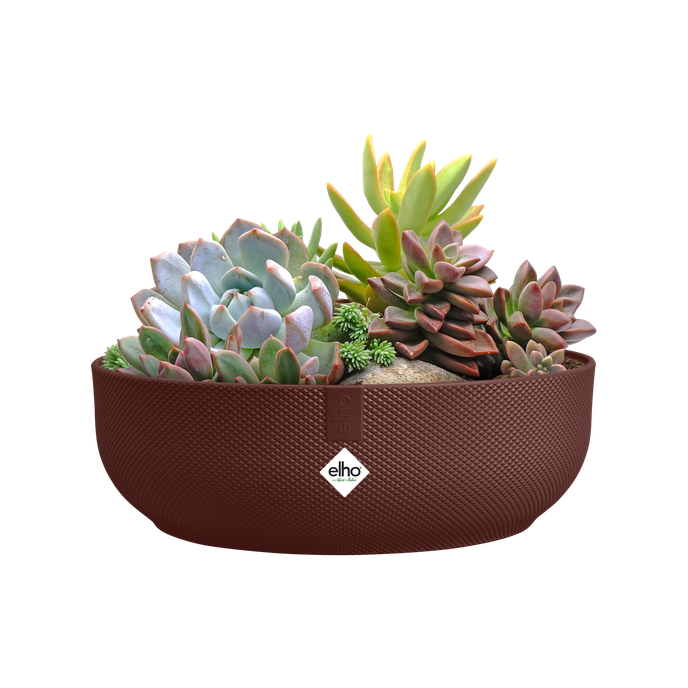 jazz bowl 28cm dark burgundy